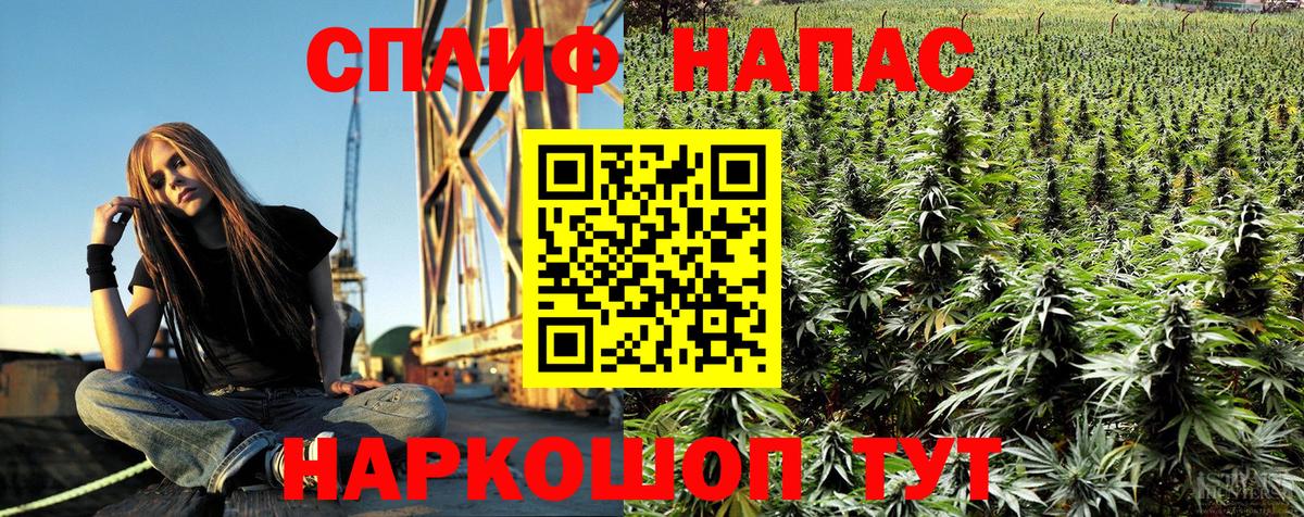 Бошки Шишки планчик Шелехов